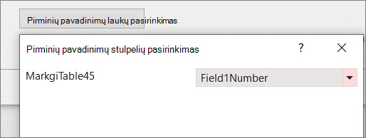 Konkretaus pirminio pavadinimo lauko pasirinkimas