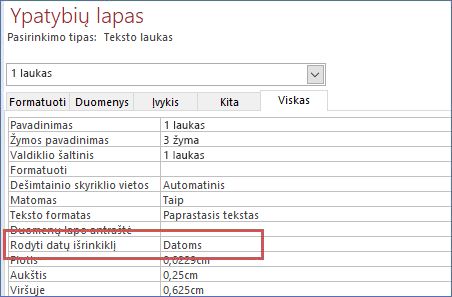 Formos ypatybių lape rodyti datos parinkiklio ypatybę