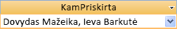 Kelių reikšmių laukas