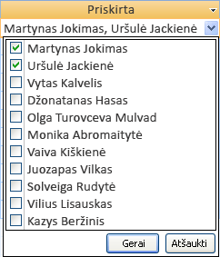 Kelių reikšmių lauko pasirinktinio įvedimo laukas