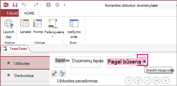 Mygtukas Įtraukti naują rodinį „Access“ taikomojoje programoje.