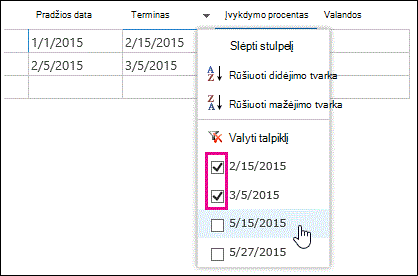 Išplečiamasis filtrų laukas duomenų lape su keliomis pažymėtomis vertėmis.