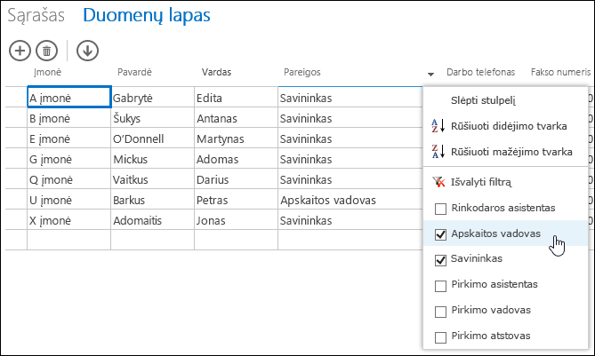 Filter options for Job Title column in datasheet