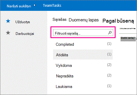Ieškos laukas suvestinės rodinyje.
