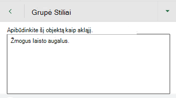 Dialogo langas Alternatyvusis tekstas programoje „Excel““, skirtas „Android“.