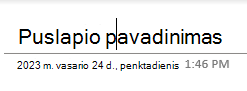 Puslapio pavadinimo teksto laukai 