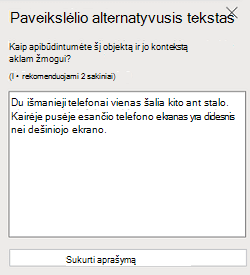 Paveikslėlio alternatyviojo teksto sritis internetinėje 