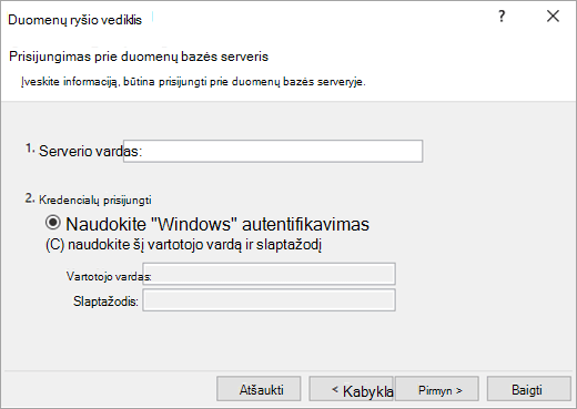 Duomenų ryšio vediklio 1 ekranas