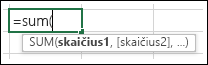 Vieno argumento pavyzdys: SUM function