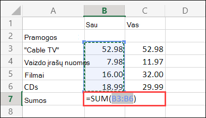 Internetinės 