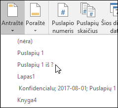Įtaisytosios antraštės & poraštės parinktys