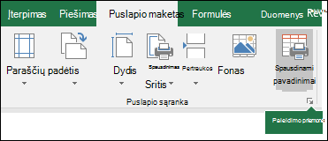 Puslapio sąrankos dialogo lango vykdyklės ekrano nuotrauka