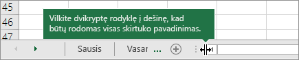 Vilkite dvikryptę rodyklę į dešinę, kad būtų rodomas vienas ar keli skirtukai