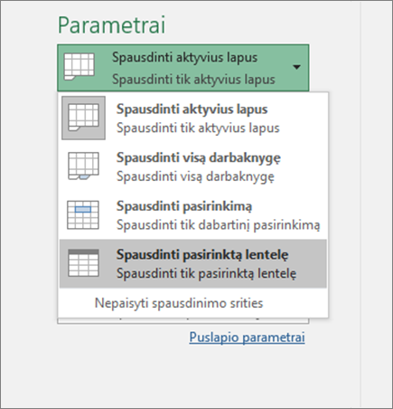 Spausdinti pažymėtą lentelę