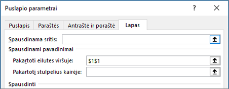 Lapo skirtukas dialogo lange Puslapio parametrai