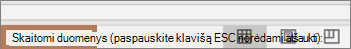Pranešimo laukas: Nuskaitomi duomenys