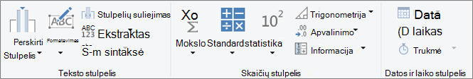 Duomenų tipų grupės juostelės skirtuke Įtraukti stulpelį