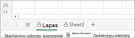 Lapo apsaugos atskleidimas