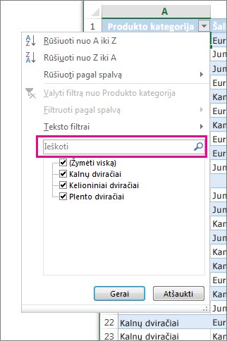Filtravimas ieškant