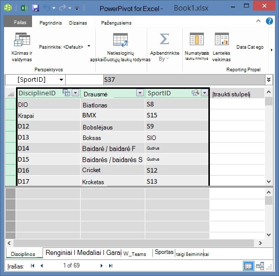 laukų kopijavimas „PowerPivot“