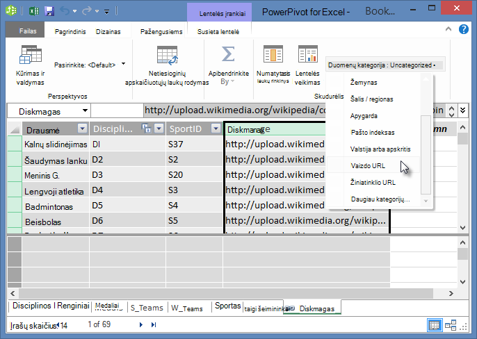 Duomenų kategorijos nustatymas „PowerPivot“