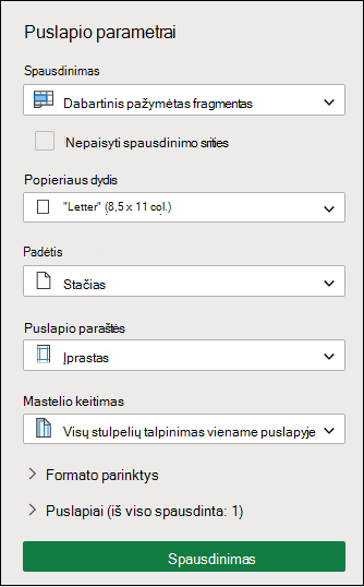 Spausdinti dabartinę pažymėtą sritį programoje internetinė „Excel“