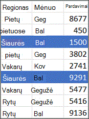 „PivotTable“ šaltinio duomenų pavyzdys