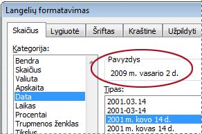 Lauka Pavyzdys, pasirinktas dialogo lange Formatuoti langelius
