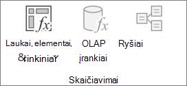 „Excel“ juostelės vaizdas