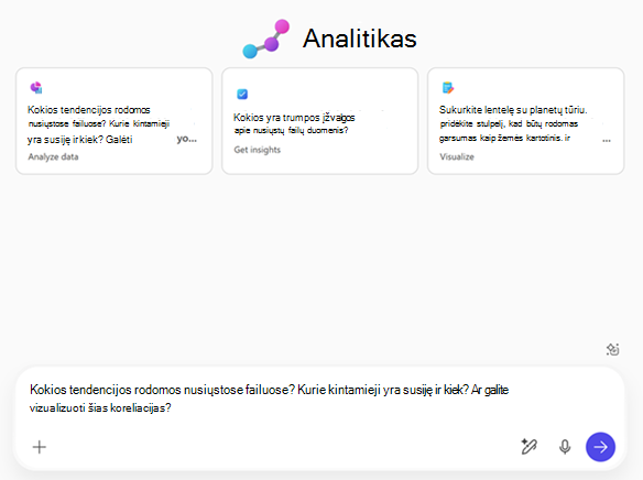 Analitiko tarnybos pradžios puslapio vaizdas