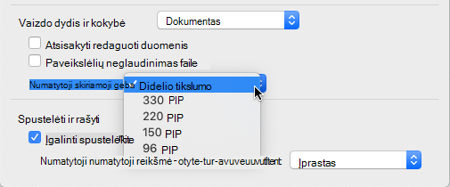 Galite pasirinkti High Fidelity kaip numatytąją vaizdo skiriamąją gebą