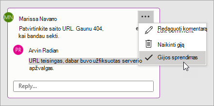 Darbas su komentaru