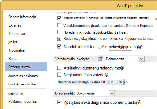 Vaizdo dydžio ir kokybės parinktys programoje Word