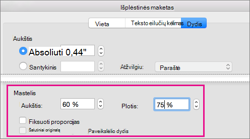 Lauko Išplėstinis maketas skirtuke Dydis paryškintos mastelio parinktys.