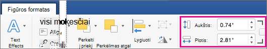 Skirtuke Figūros formatas laukai Aukštis ir Plotis paryškinti.