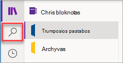 Ieškos mygtuko vieta 