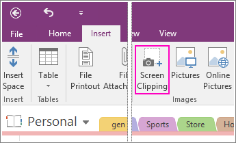 Ekrano iškarpos įterpimo  mygtuko programoje „OneNote 2016“ ekrano nuotrauka