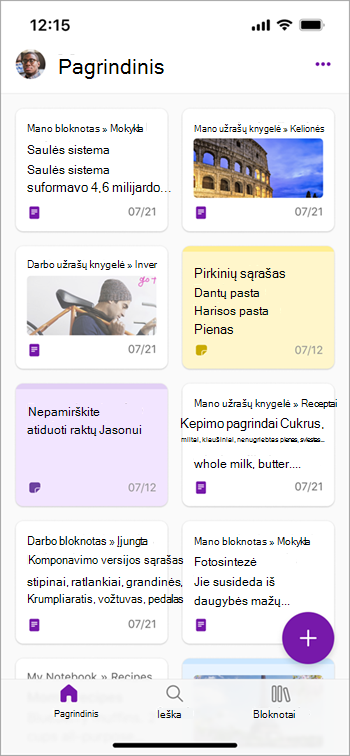 OneNote for iPhone screenshot one version three.png