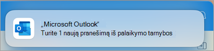 Kreipkitės į palaikymo tarnybą naudodami 