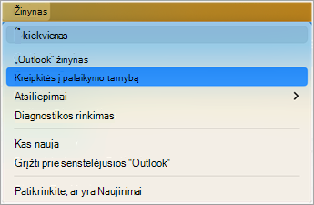 Kreipkitės į palaikymo tarnybą programoje 