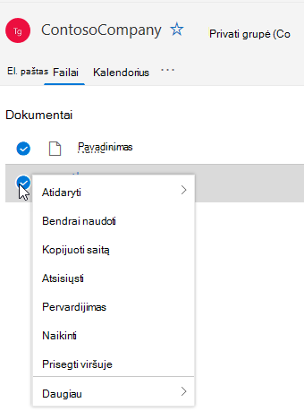 Rodomos parinktys Naikinti ir Pervardyti failą