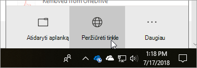 Mygtuko Peržiūrėti tinkle ekrano kopija