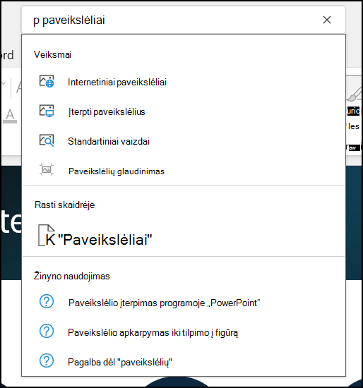 Ieškos lauko veikimas programoje 