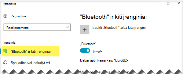 Įsitikinkite, kad kairėje pusėje pasirinkta parinktis 