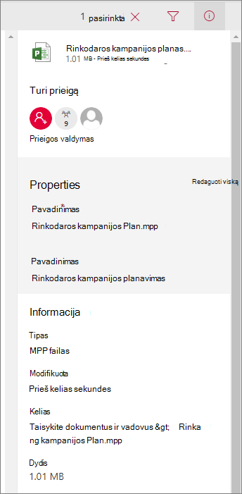 Peržiūrėti failo informaciją