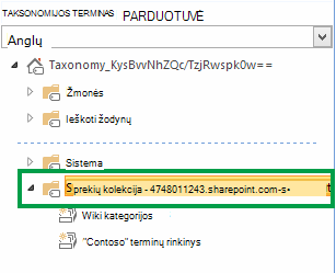 Grupė, kurioje yra visi svetainių rinkinyje esantys terminų rinkiniai