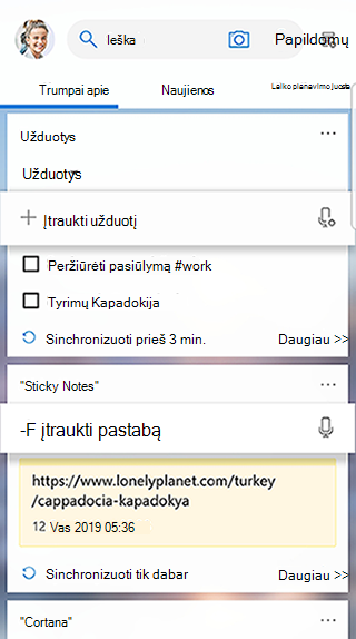 Ekrano kopija, kurioje rodoma vykdyklės informacijos santrauka Užduočių kortelė