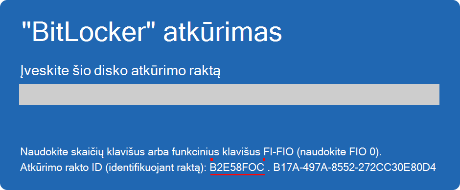 Screenshot of the BitLocker recovery screen highlighting the key ID.