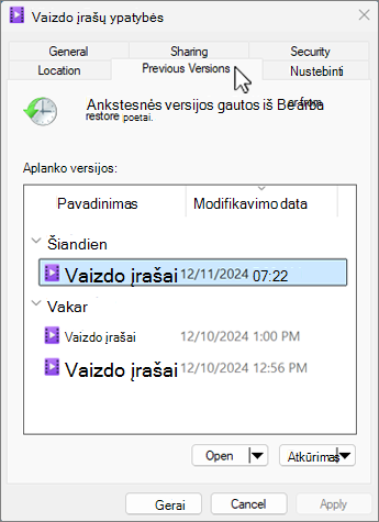 Failų istorijos ypatybių dialogo lango ekrano kopija.