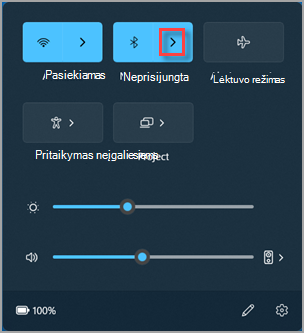 Mygtukas Valdyti 